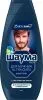 Шампунь ШАУМА 360/380мл (Ультрасила MEN)