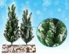 Ели декоративные Там Там Заснеженные h30см на деревянной подставке