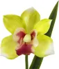 Цветы декоративные Цимбидиум в вазе Размер: 30х20х51см Цвет: зеленый+розовый