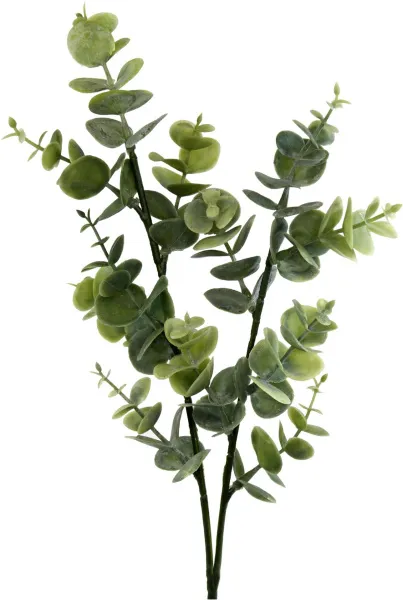 Ветка декоративная Эвкалипт Размер: 10х10х40см Цвет: зеленый