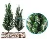Ели декоративные Там Там Заснеженные h30см на деревянной подставке