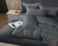 Комплект постельного белья 2.0сп Pandora микрофибра-страйп с европростыней диз.8/10 графит