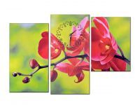 Картина модульная SATTI 90х60см на холсте (Красная орхидея)