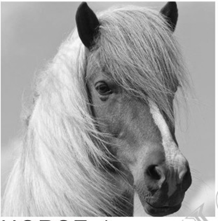 Подушка декоративная 45х45см