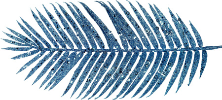 Ветка декоративная Пальмовый лист Размер: 700х210х10мм (Цвет: синий)