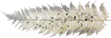 Ветка декоративная Блеск Размер: 14х0,5х78см (Цвет: серебро)