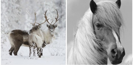 Подушка декоративная 45х45см